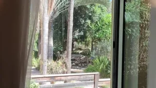 רשת פחם 99 אחוז שקיפות